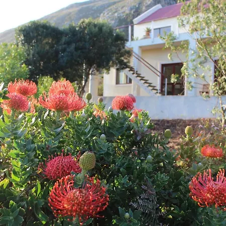 Ocean View On Disa Apartment Malkopvlei Exterior photo