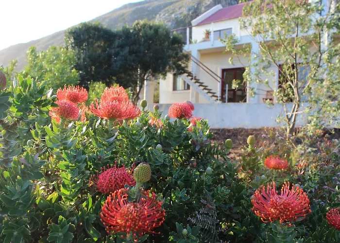 Ocean View On Disa