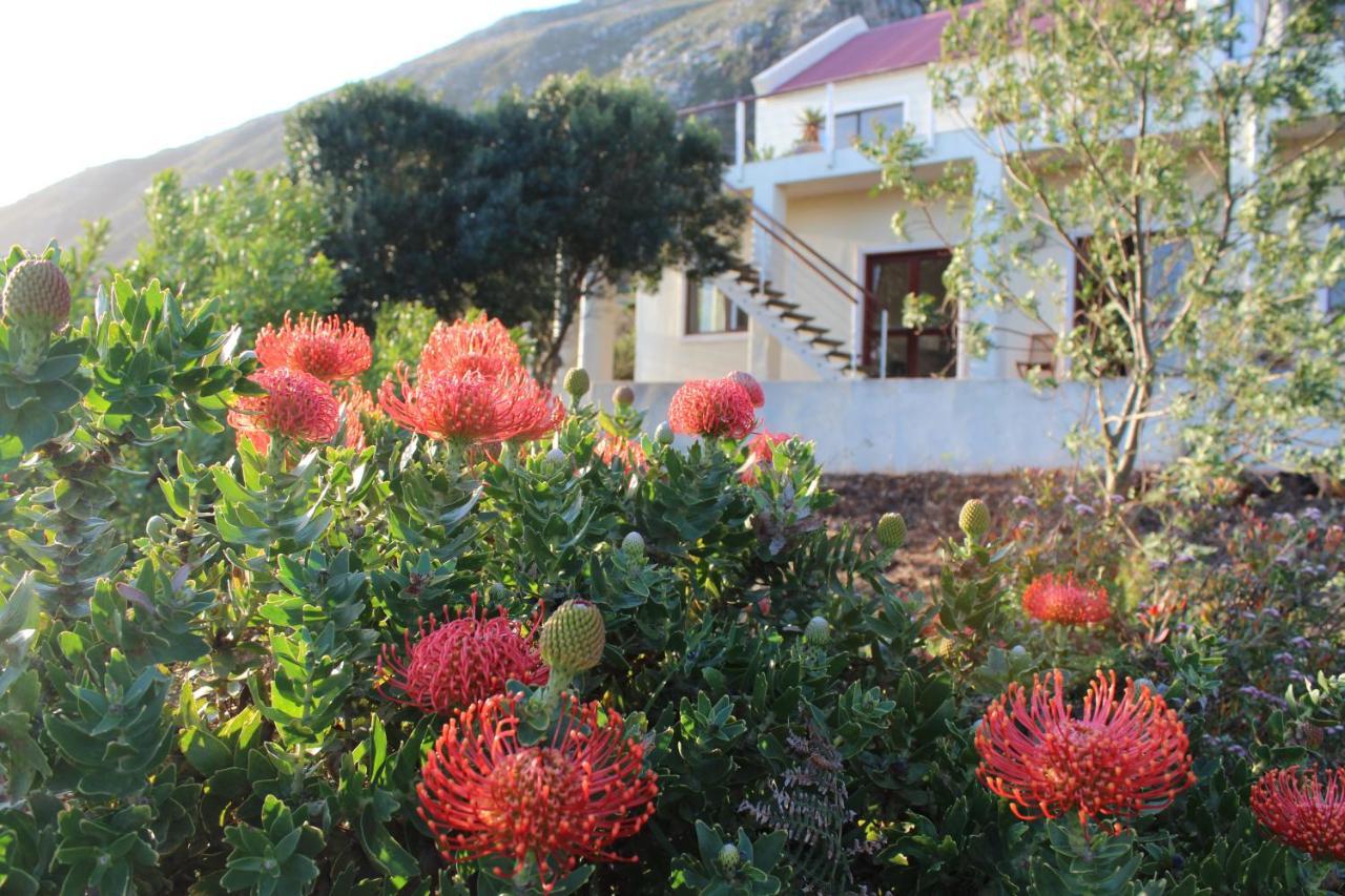 Ocean View On Disa Malkopvlei
